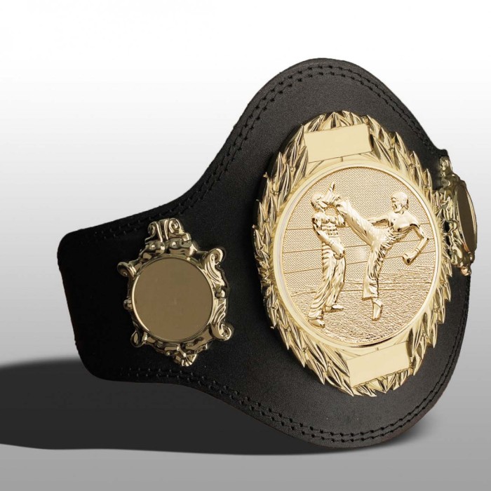 KICKBOXING TITLE BELT - PLT286/G/KBOG-4 COLOURS